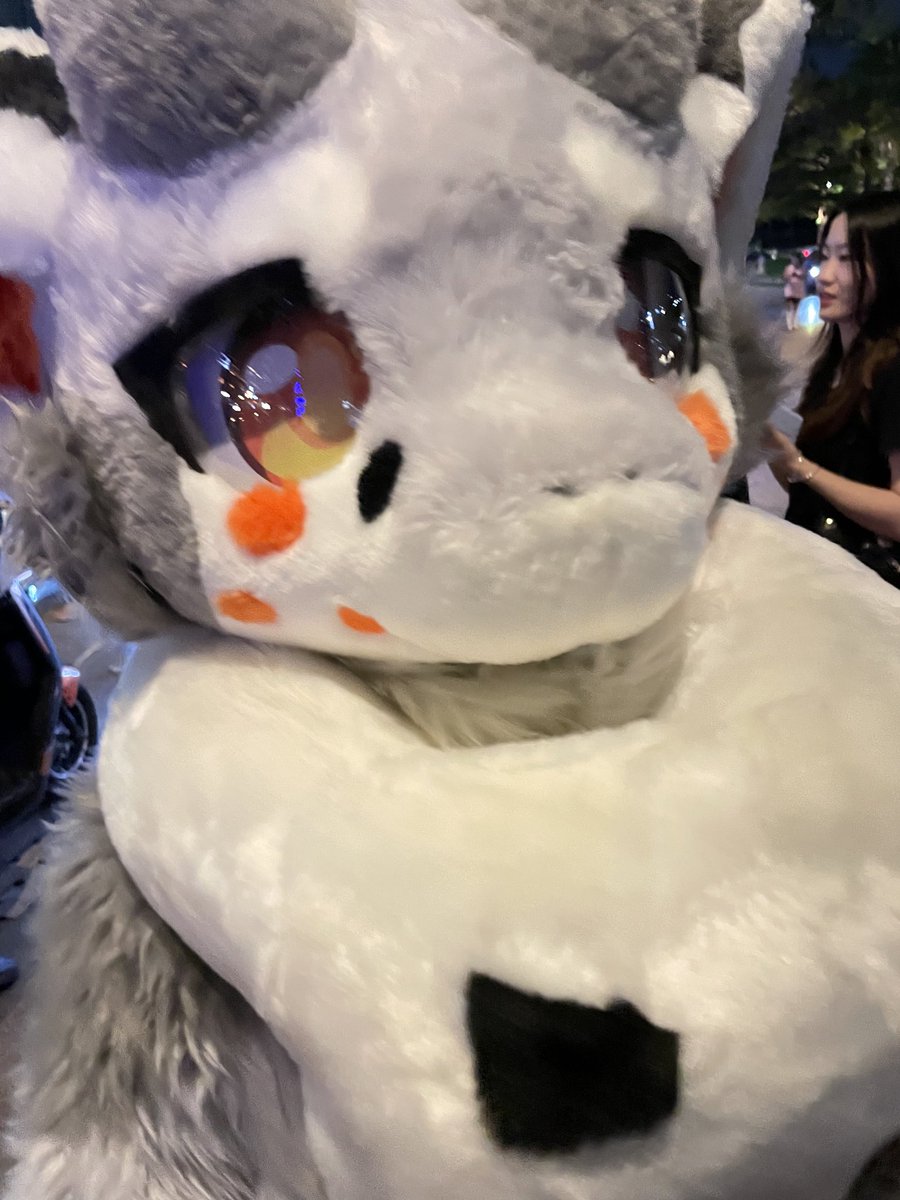 人，万圣节抓到本龙了吗？🎃🎃
#FursuitFriday #毛毛星期五