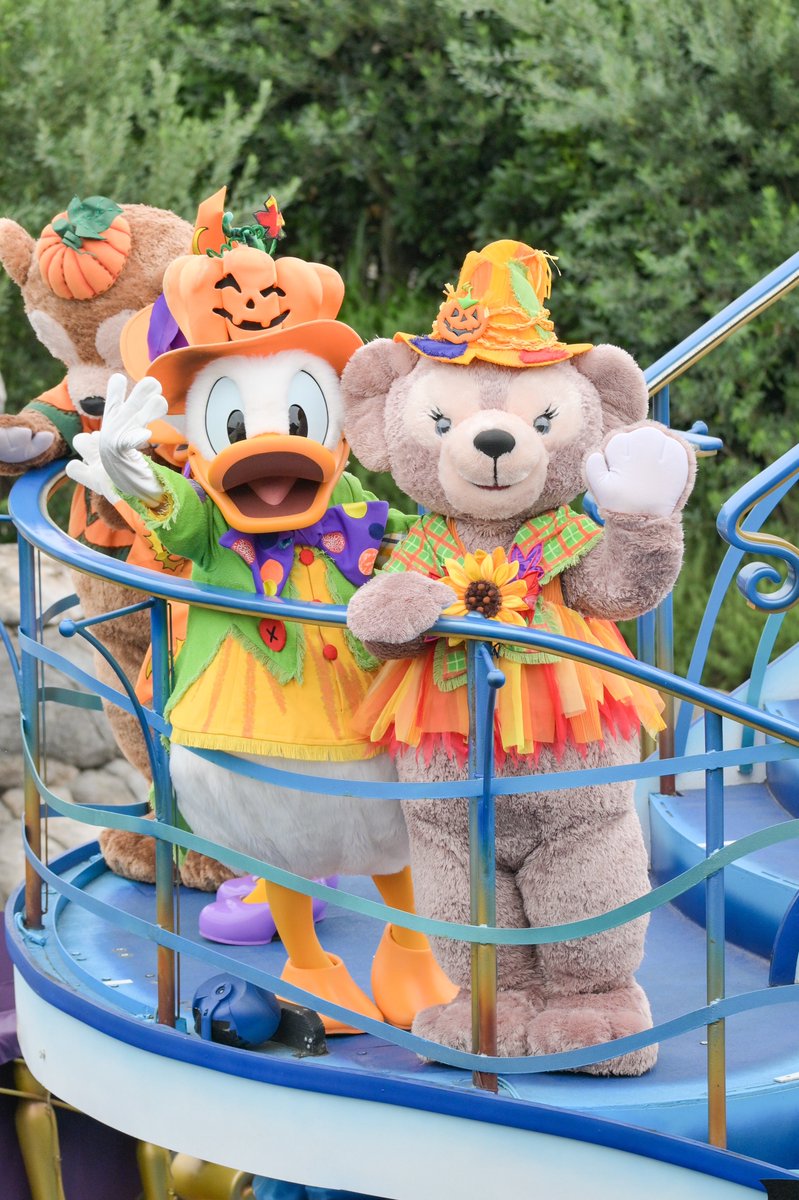 ⓣⓞⓜⓞⓩⓞ🧸🎀 (@S_kumachan_122) / Posts / X