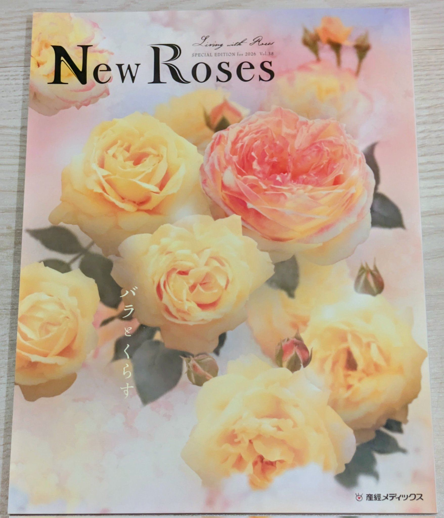 ROSE　ご確認ページ シアースリーブ刺繍ドレス/谷間見せ/サイドスリット/ミニドレス