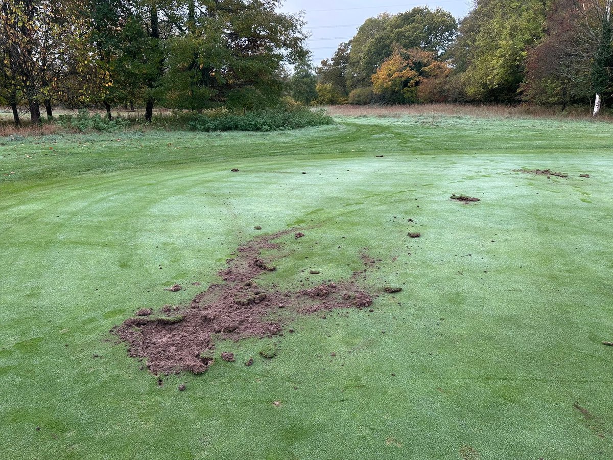 NewForestDog's tweet image. There has been some vandalism to some of the greens and winter mat bases at the golf club where I play. Wednesday evening. It is believed these two were responsible. If anyone recognises them, or knows anything about the incident, please contact Wellow Golf Club.