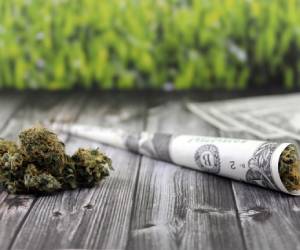 Behind the Scenes: How Marketing Videos Come to Life medicalmarijuanapages.com/behind-the-sce…