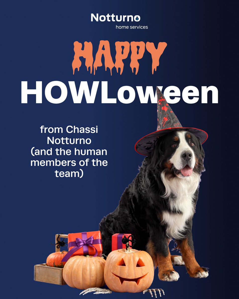 NotturnoHome's tweet image. Happy HOWLoween from your favorite BOOnese Mountain Dog, Chassi Notturno! We hope you have a day filled with plenty of treats (and without any tricks). 🐶 🧙‍♀️ 🎃 

508-306-8625

#CompleteHomeComfortCompany #NotturnoHomeServices #AC #HomeMaintenance #HVAC #TeamNotturno