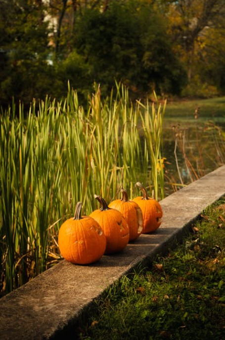ABUHBlibraries's tweet image. A very happy Halloween to you all! No tricks, just treats in our health board libraries in the form of a wealth of digital and physical resources at your fingertips! So, don&apos;t be frightened and get in touch to find out more! #halloween #libraries #treats