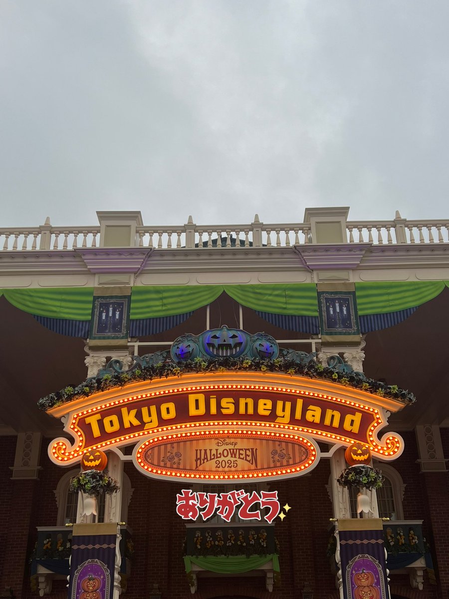 🐦⬛まおみぃ🍬 tweet media