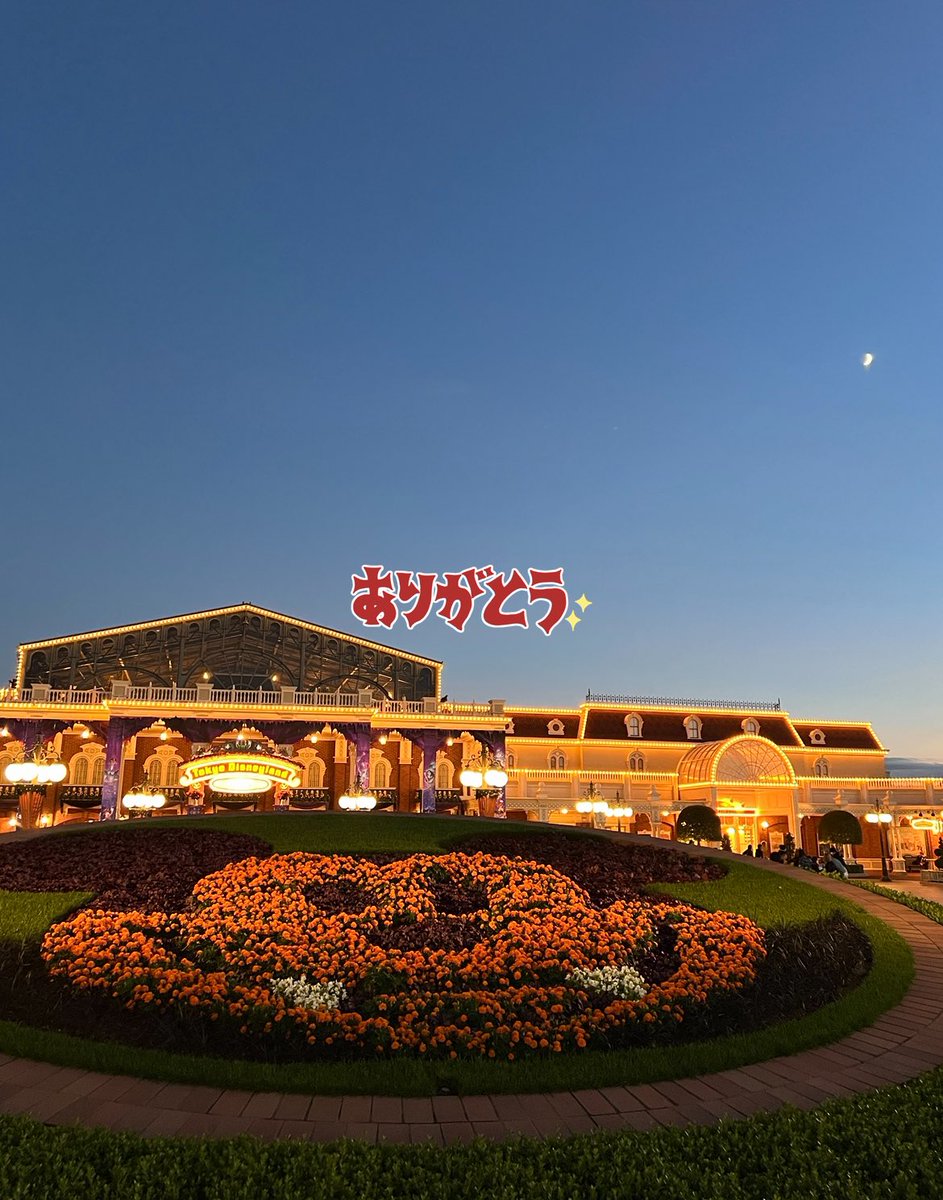 🐦⬛まおみぃ🍬 tweet media