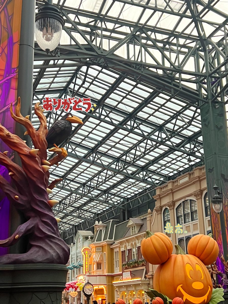 🐦⬛まおみぃ🍬 tweet media