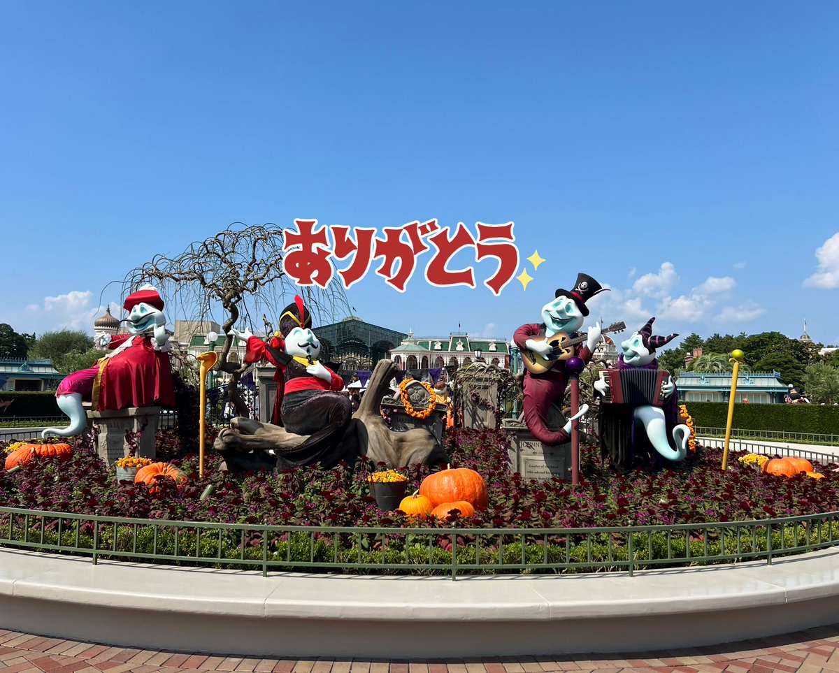 🐦⬛まおみぃ🍬 tweet media