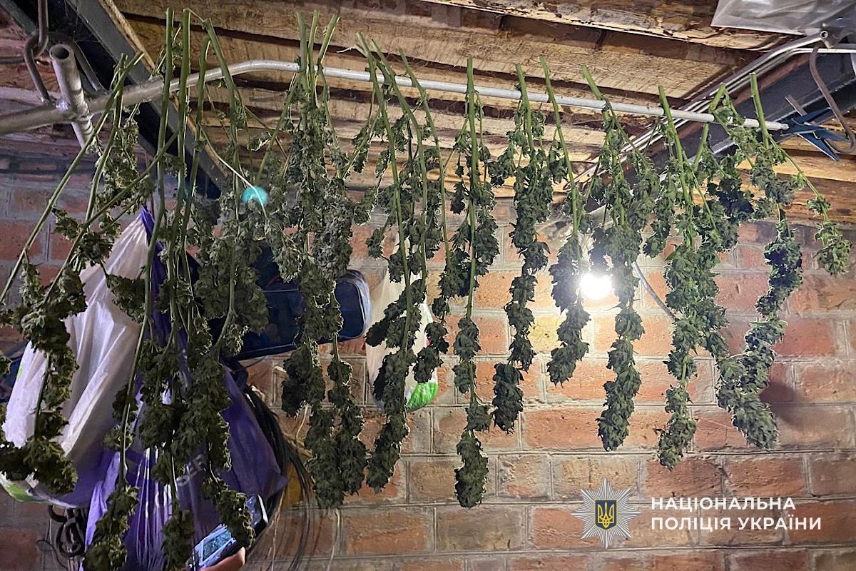 GUNP_Dnipro's tweet image. У Нікополі дізнавачі викрили місцевого мешканця на незаконному зберіганні наркотиків
Джерело: dp.npu.gov.ua/news/u-nikopol…
@34_tv
@news112ua
@istv
#Поліція #Дніпро #новини