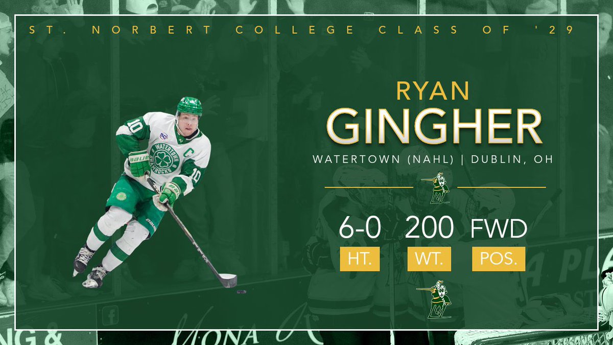 WELCOME TO HOCKEY SERIES | #15 | RYAN GINGHER | DUBLIN, OH | <a href="/ShamrocksNAHL/">Watertown Shamrocks</a> (NAHL)