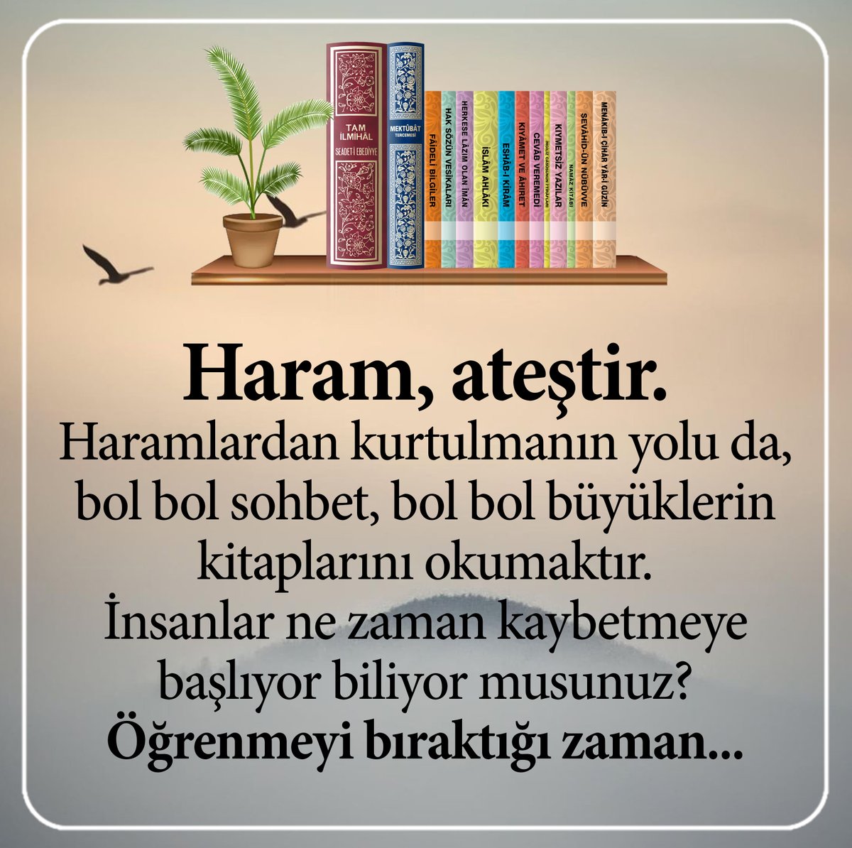 OSermayesi's tweet photo. https://t.co/6fvekjvPz5