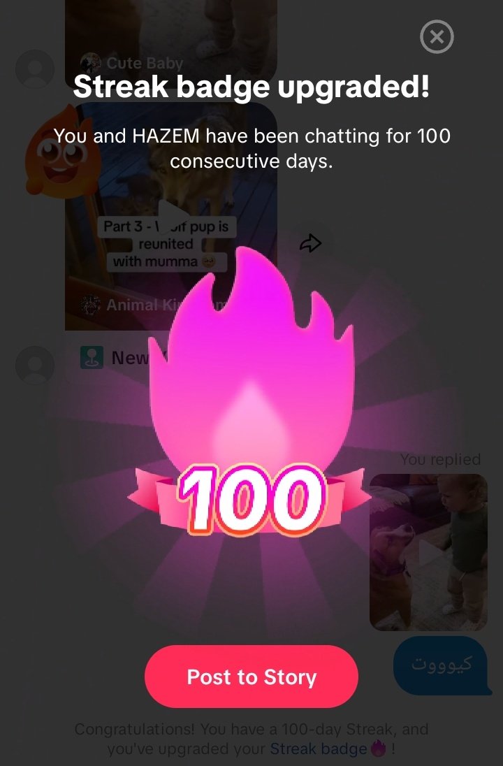 أخت فيونكة ⑮ (@rowanashour_) on Twitter photo 