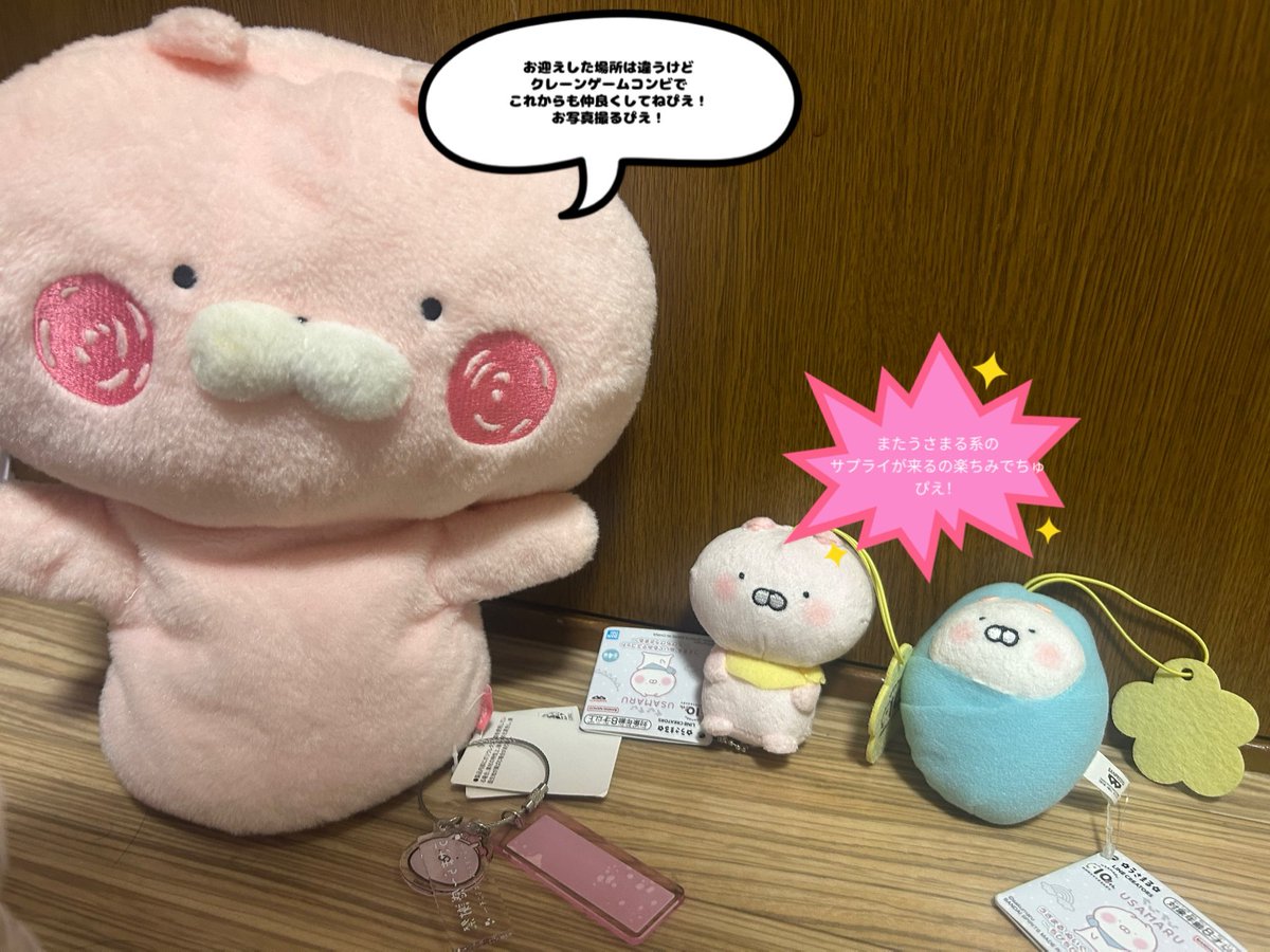 パペこと愉快なうさまるファミリー達 on X