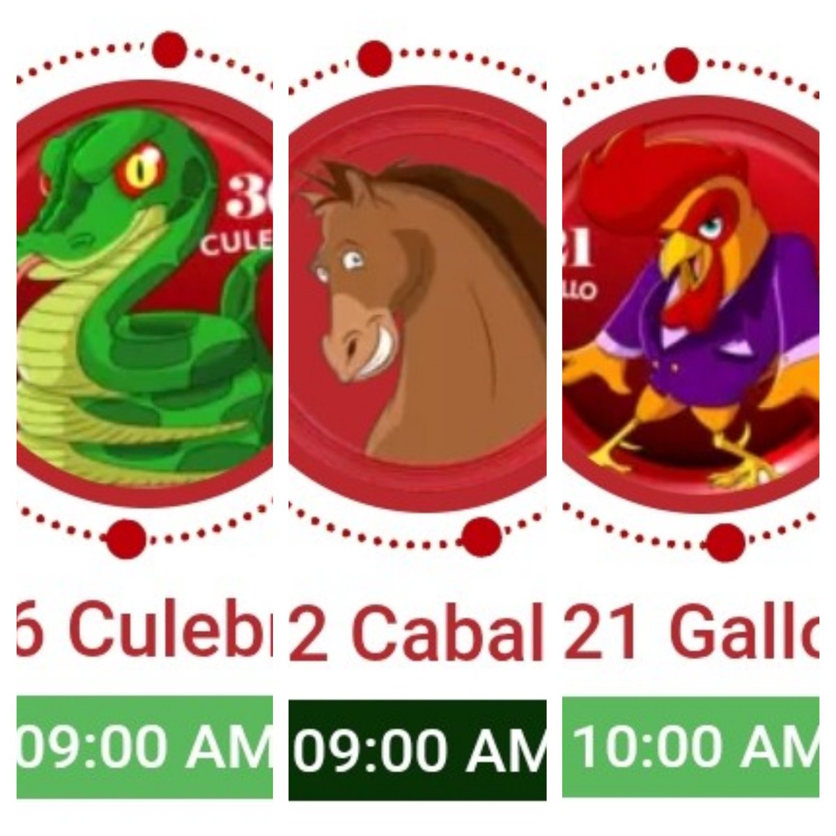PabloJota27's tweet photo. ((( #ÑAPA + #DATOCALIENTE + #ESPECIAL ))) Los Seguimos Matando Y En 2 Sorteos Son 3 Aciertos Con La Verdadera Información Del Dueño Del Zoológico #VAMOSPORMAS #SEGUIMOSLIGANDO  Y "VENTE CULEBRA, CABALLO Y GALLO VIEJA" 🔥🔥🔥 https://t.co/d9Nj25Logc