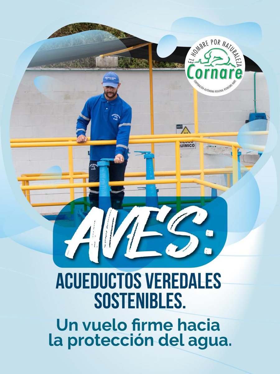 negroambiente's tweet photo. 🌎 Con el programa AVES – Acueductos Veredales Sostenibles, hemos acompañado (en la primera fase) a 163 acueductos veredales en 26 municipios, impactando a más de 42.000 suscriptores y 155.000 usuarios que hoy gestionan el agua con responsabilidad y sostenibilidad 💧. https://t.co/mVNdEMyTIZ