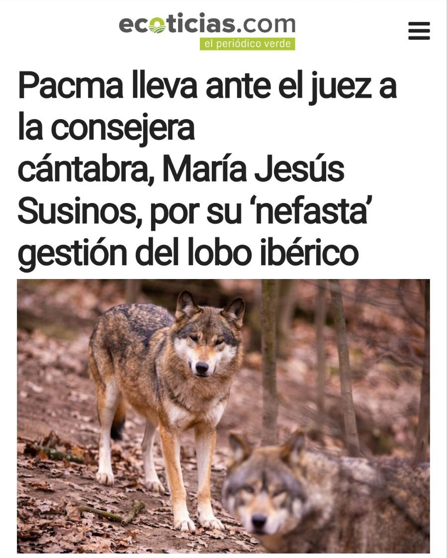 👨‍⚖️¡Llevamos ante una jueza a la consejera de Desarrollo Rural de Cantabria por la matanza de lobos!

❌La consejera cántabra de Desarrollo Rural, María Jesús Susinos, tendrá que sentarse en el banquillo tras haber permitido la matanza del lobo ibérico en Cantabria cuando su