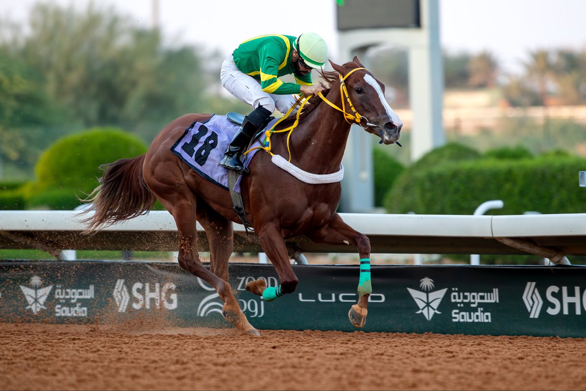 نادي سباقات الخيل tweet media
