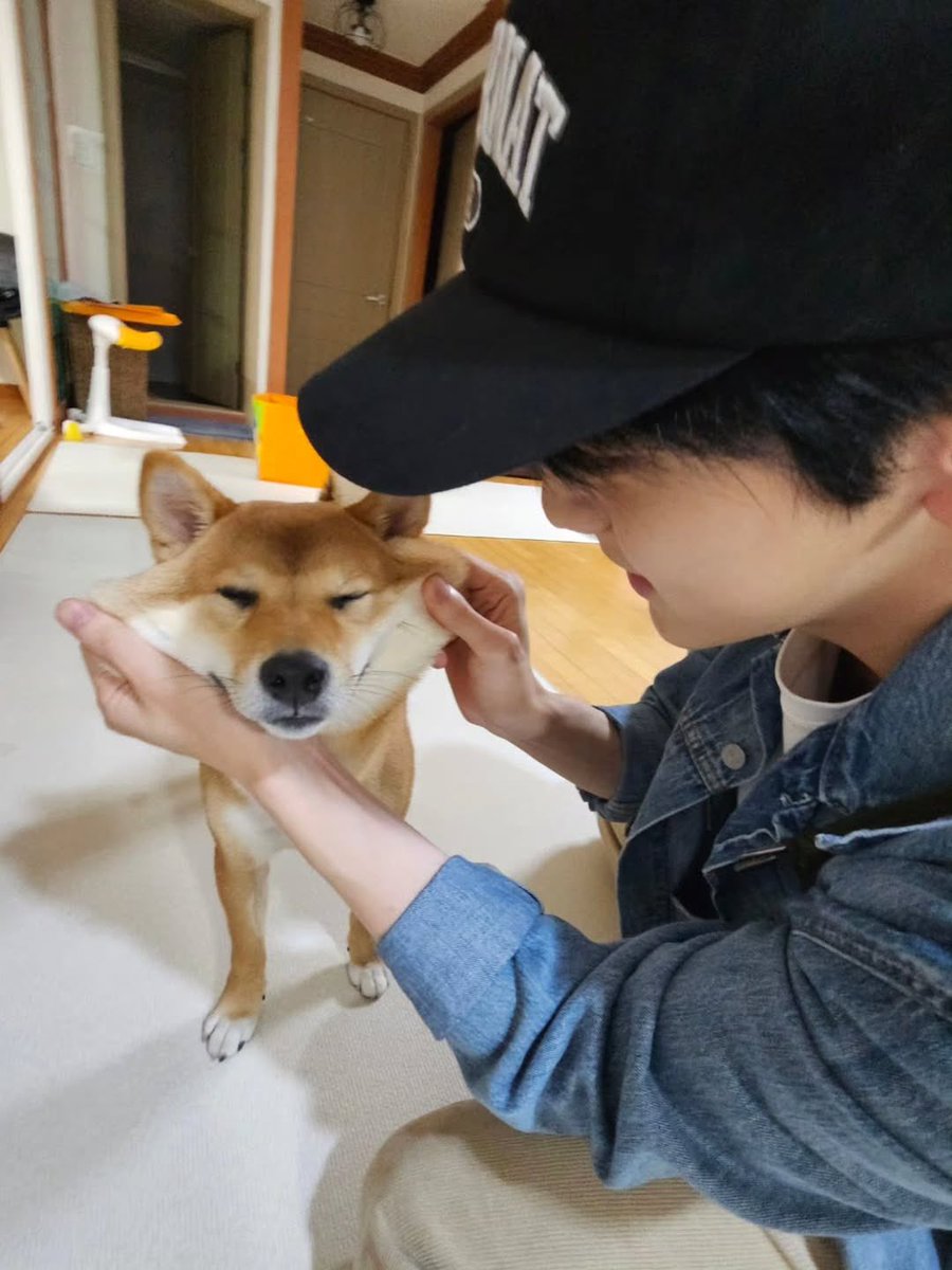 오물조물 tweet media