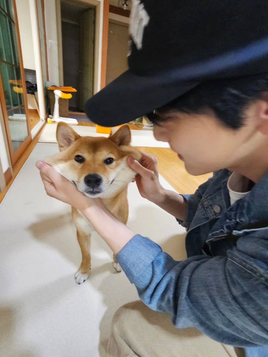 오물조물 tweet media