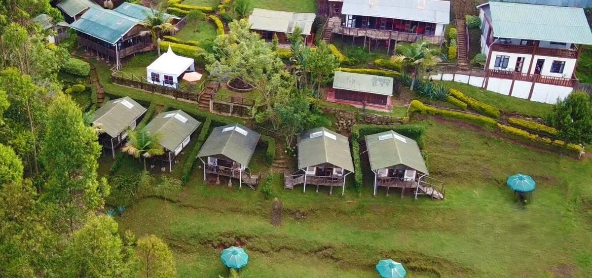 Aberdare Cottages & Fishing Lodge tweet media