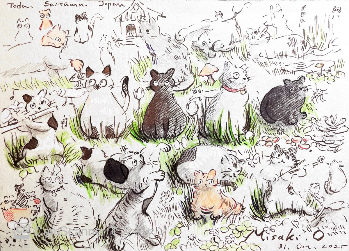 B6サイズ(写真サイズ)で、猫のスケッチを描きました（ペン・インク