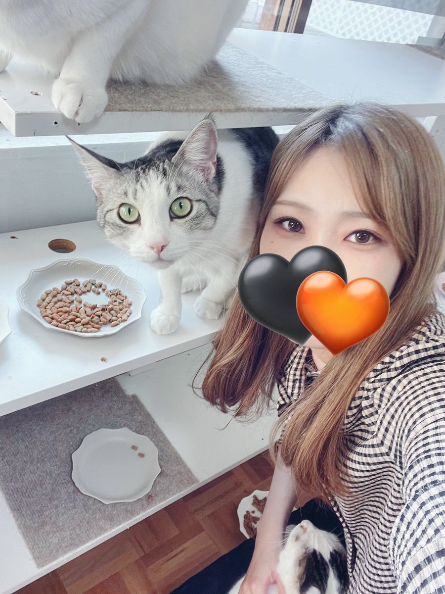 poyokoji's tweet photo. 最後に撮った推しとのツーショみて🐱 https://t.co/tJtjyfCien