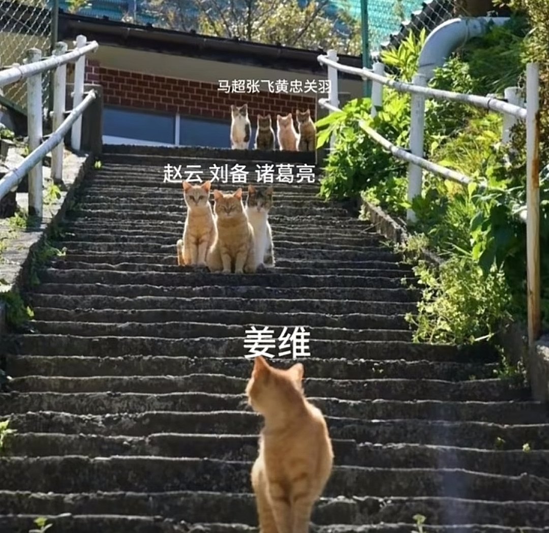 lmok_ym's tweet image. 知天命而不顺欲穷途而强为