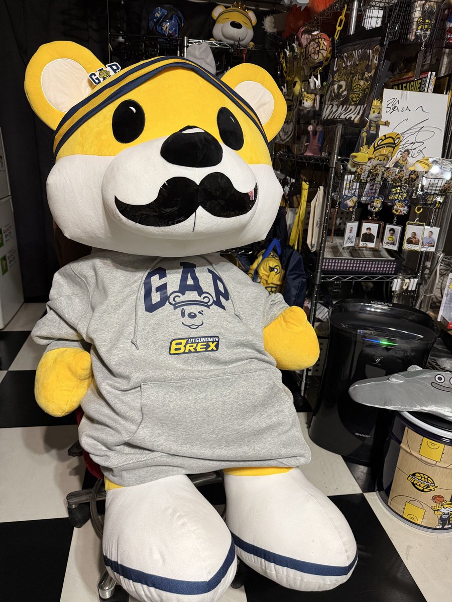 ブレックスGAPコラボパーカー XLサイズ 参考着用モデル メガ
