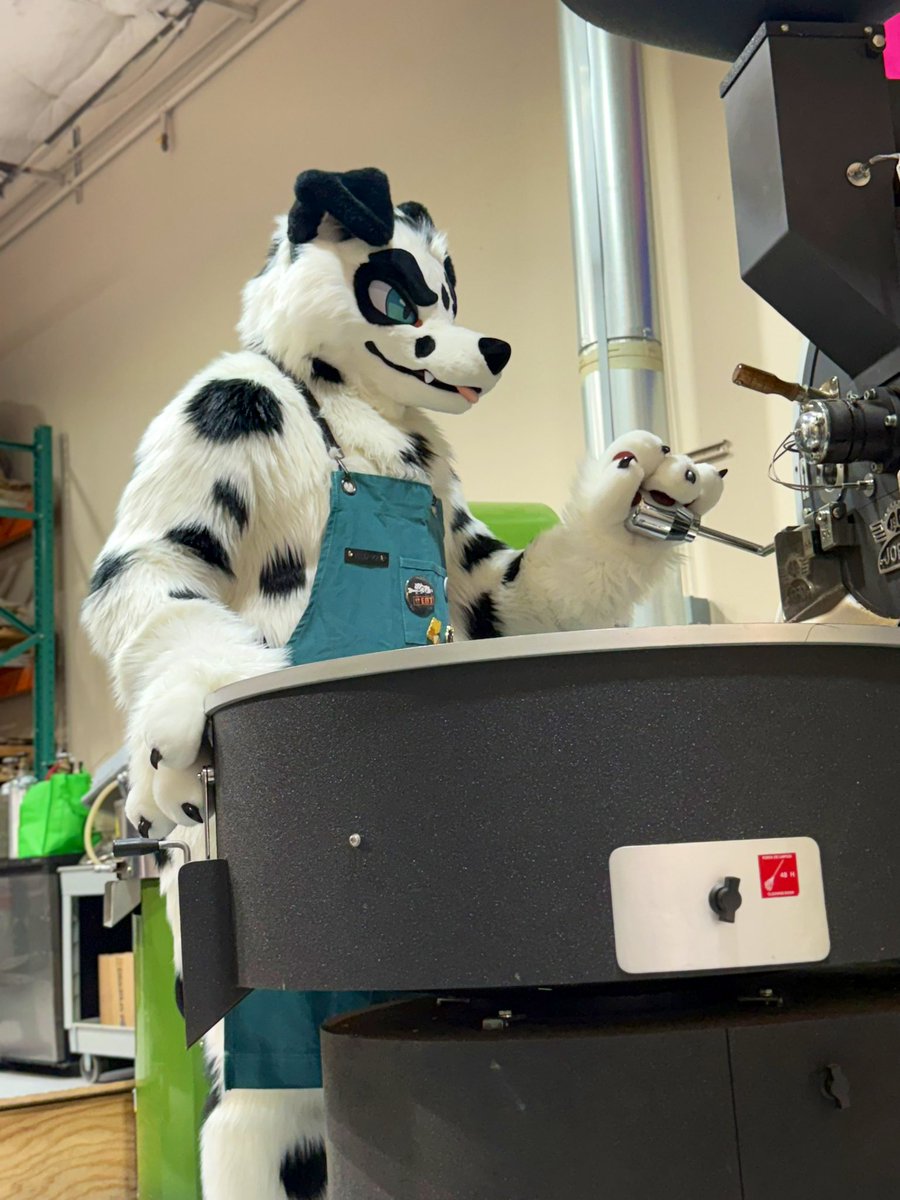 Sacred_Beans_Co's tweet image. 🔥☕ Finn’s turning up the heat — that means Animal Café Night is just a week away! 🐾💚

📅 Nov 7 | 4–9 PM MT
📍 Locus Coffee Bar - Denver
Suit up, sip, and hang with Colorado’s fluffiest crowd 🦊

🪡: @MixedCandy

#FurryCafe #FursuitFriday #SacredBeansCoffee