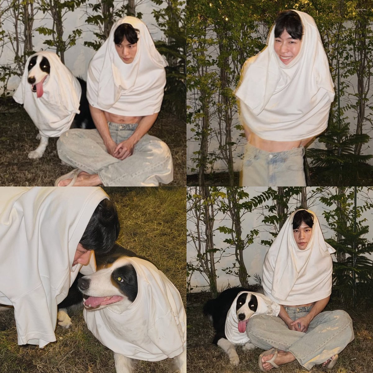 2 พ่อลูกมา trick or treat แล้วววว 👻🎃🐕‍🦺🐈‍⬛🌟

꒰ #sammerbcollie  ੯‧̀͡u\  ꒱
꒰ #warwanarat <a href="/warwanarat/">ว</a> ♡ ꒱