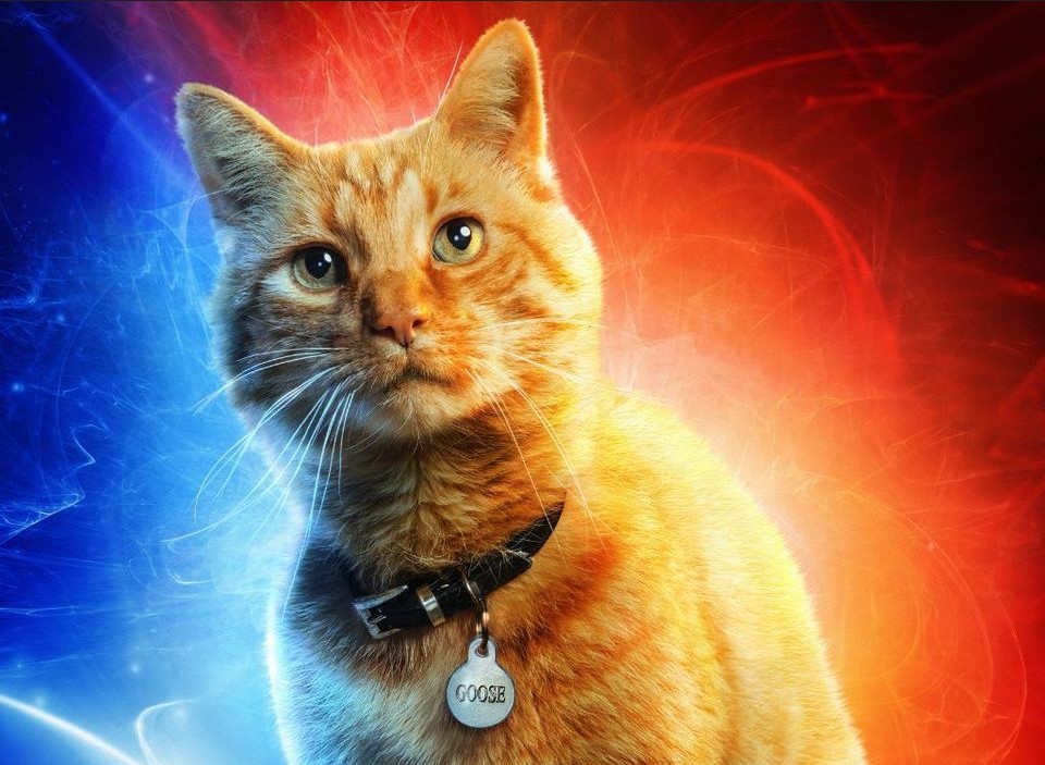 びぃるです₊⁎⁺˳✧༚ ₉₇ 𝒸ₒᵣₙ on X