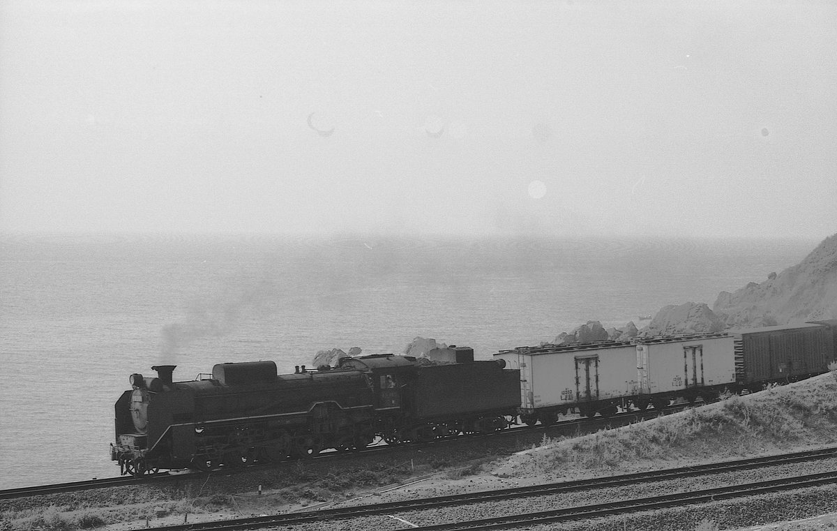 おがわせんせい Dr. Slip on X