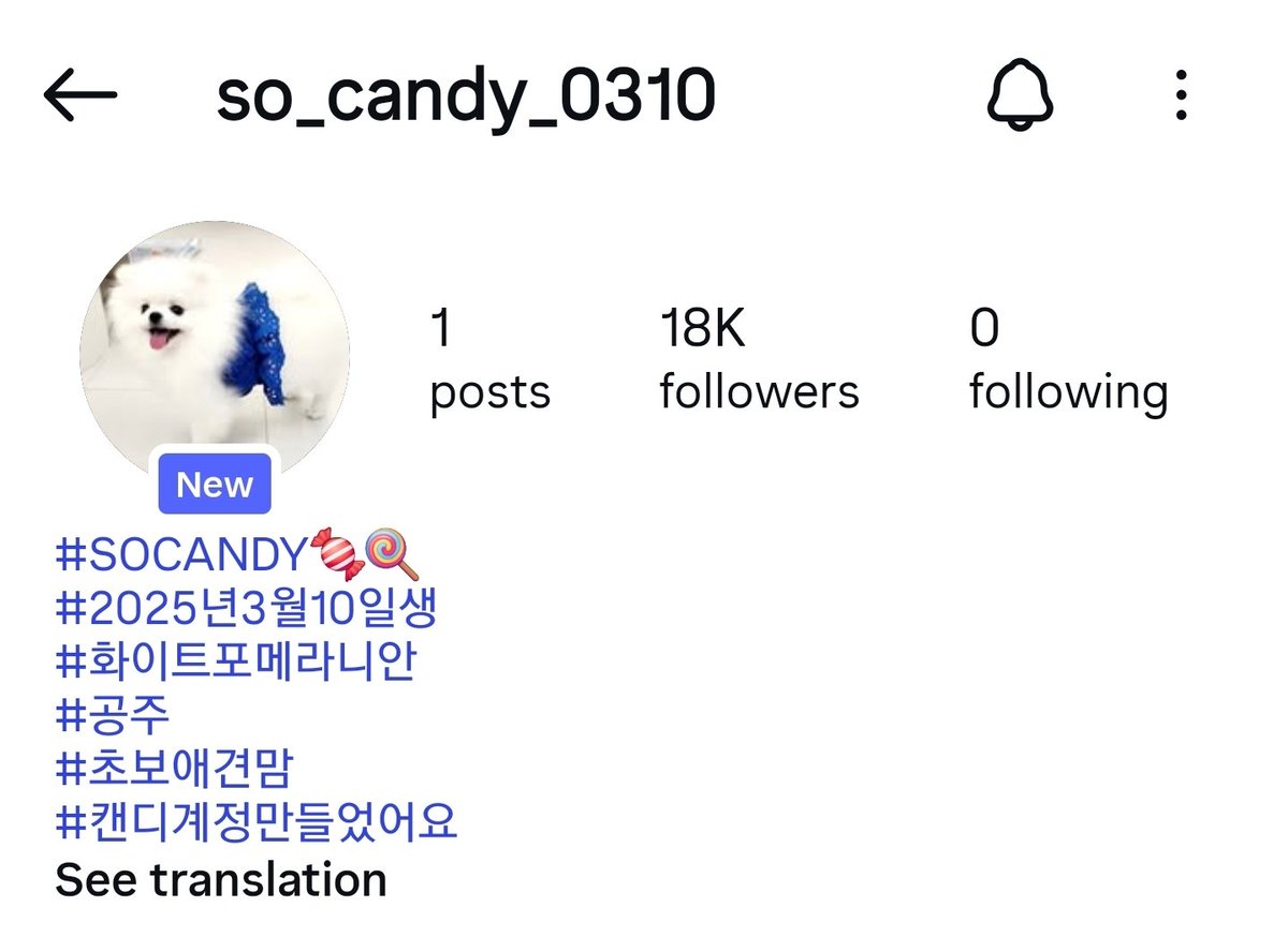 [🍬🍭] CANDY INSTAGRAM OPEN

เจ้าหญิงแคนดี้ของน้องจองฮวานมี Instagram แล้วค่ะ ทึเมสามารถเข้าไปติดตามดูความน่ารักของน้องได้ที่ IG : so_candy_0310 🤍✨️

**แอคนี้เปิดและดูแลโดยคุณแม่ของน้องจองฮวาน กรุณาเคารพความเป็นส่วนตัวและคอมเมนต์กันอย่างสุภาพนะคะ 😊

#SOJUNGHWAN #SOCANDY