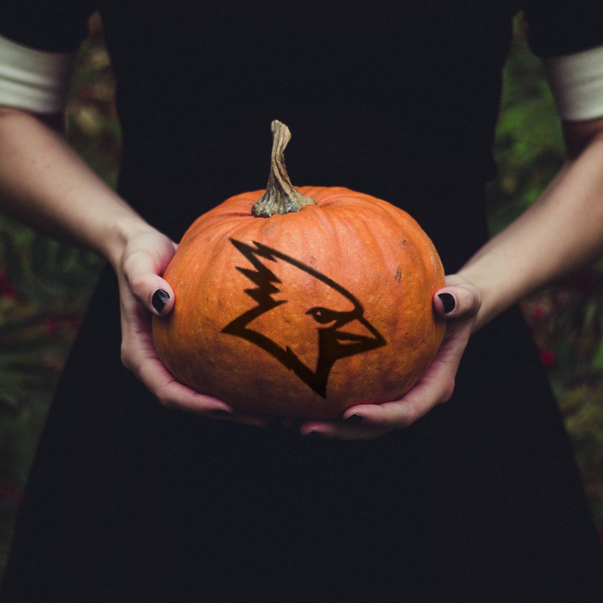 pburghalumni's tweet photo. HAPPY HALLOWEEN, CARDINALS! https://t.co/WPiBysoGY1