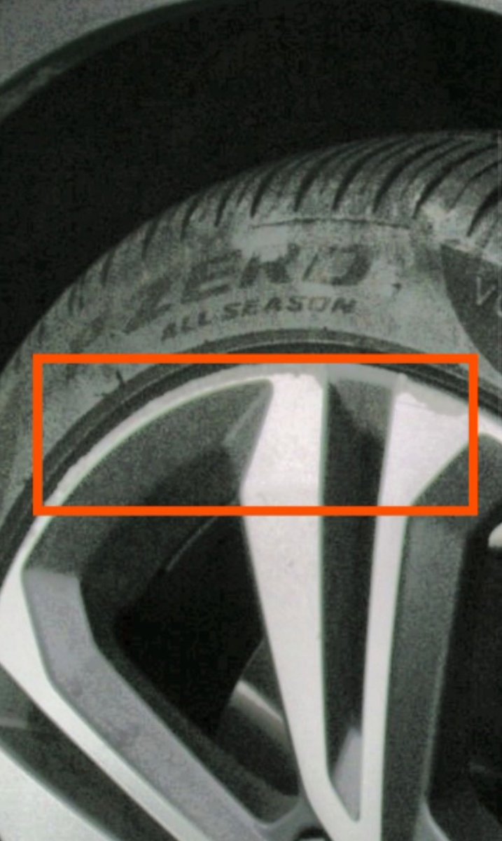 Samantha Kummerer tweet media