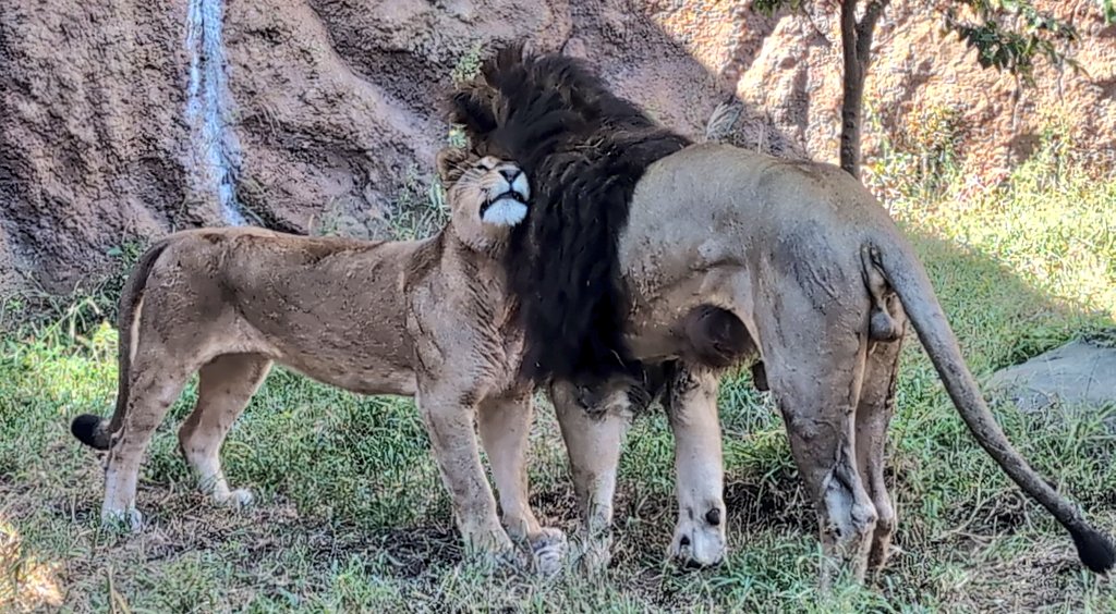 ぼーっとのすけ (@lRodeFdsXGMgJPi) / Posts / X