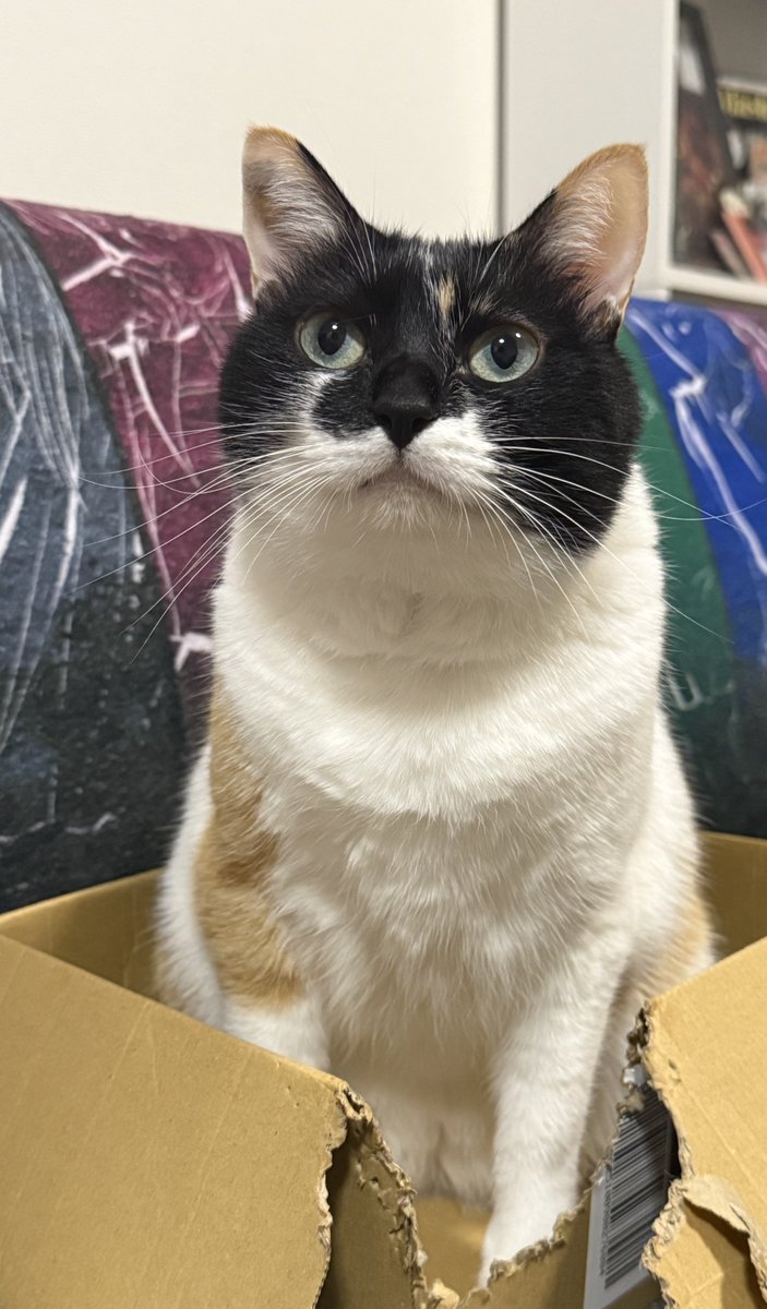 雷十太先生 (@asjSvnCZl18wKXM) / Posts / X