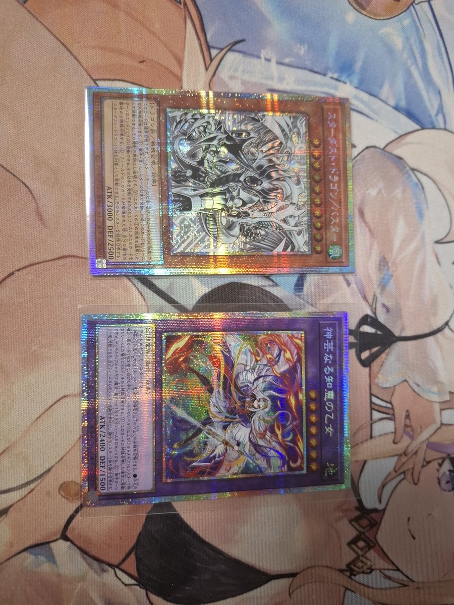 인간쓰레기 tweet media