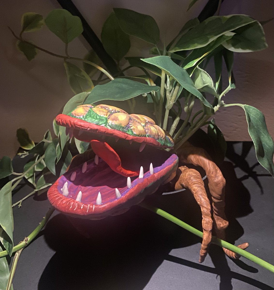 Walt Willey tweet media