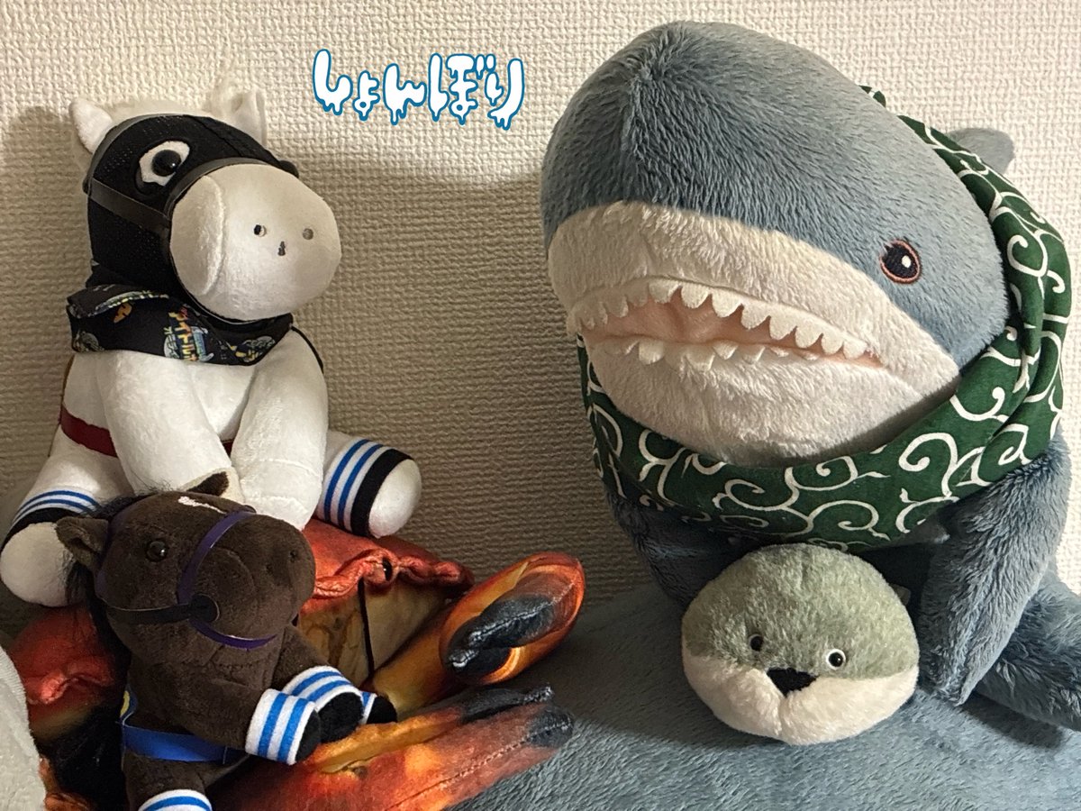 まめ子 (@dragon5893kt) / Posts / X