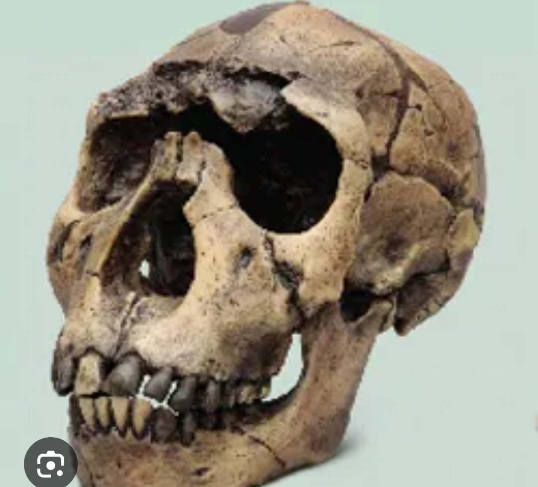 Un arqueólogo encuentra al último madridista no decididamente imbécil