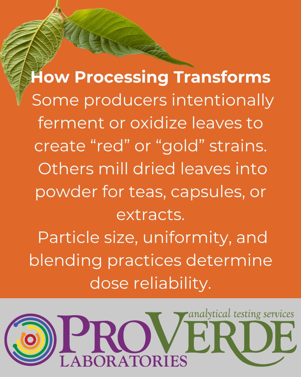 ProVerdeLabs's tweet image. Processing transforms #kratom’s chemistry as much as cultivation does. Without testing, you can’t tell whether fermentation, drying, or blending improved or degraded your product. ProVerde provides the analytical insight needed to prove consistency and more.