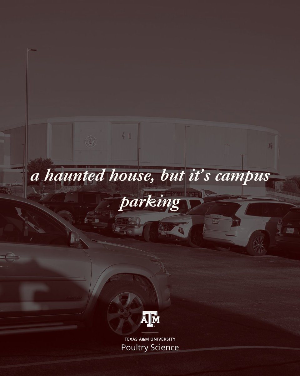 TAMUPOSC's tweet image. Spooky szn 👻