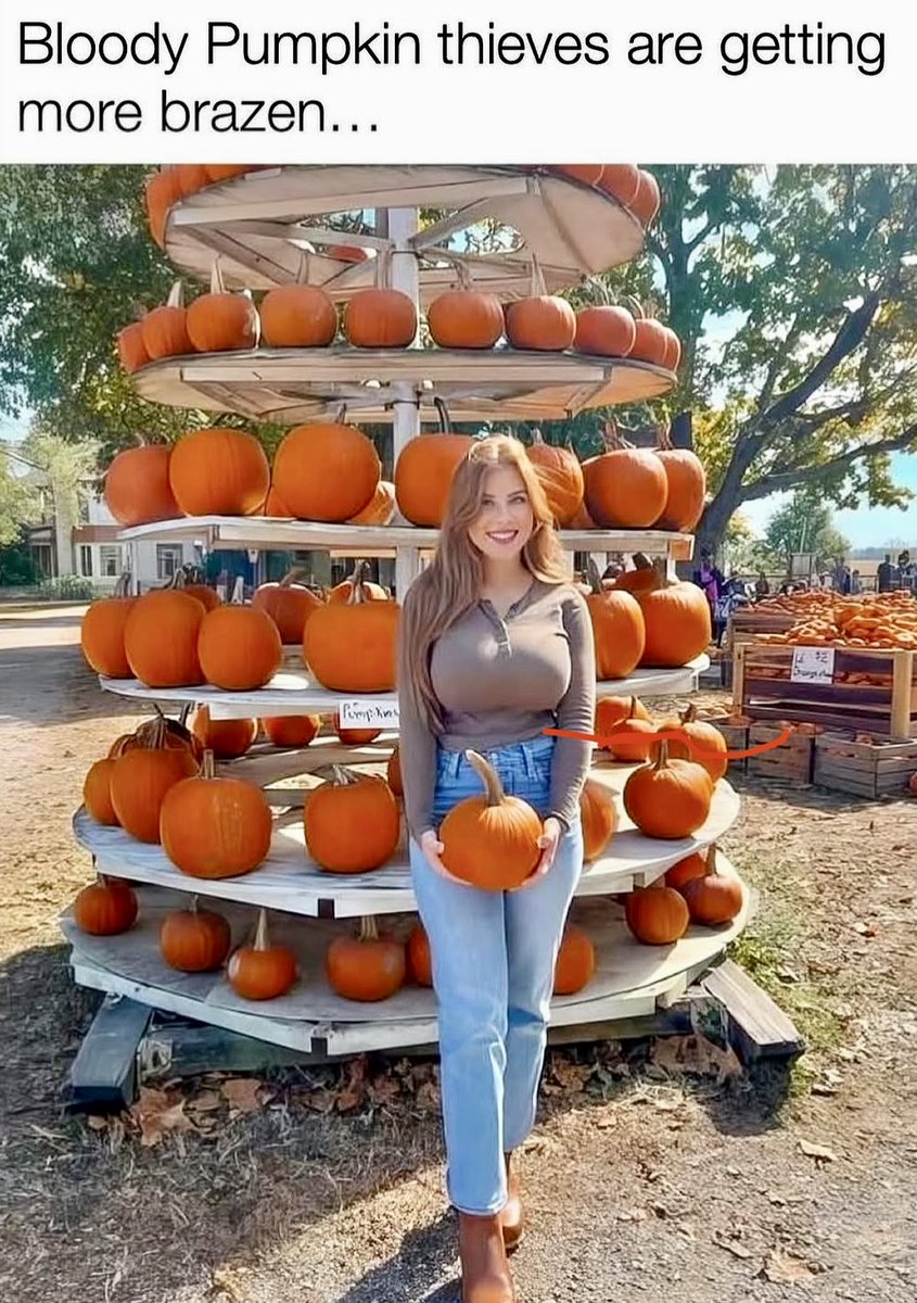 🎃🎃🎃👻💀👻🎃🎃🎃
