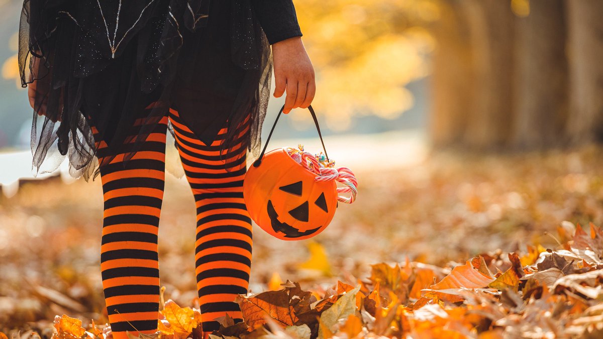 SFAgentOchipa's tweet photo. Here's where two Florida cities placed on WalletHub's top 15 best cities for Halloween 2025. https://t.co/bAMSfhOv46 https://t.co/7sPvsgtHCw