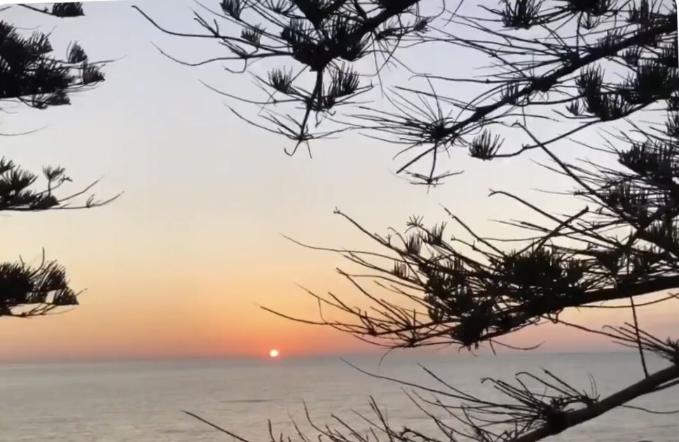 °~• Somewhere •~° tweet media
