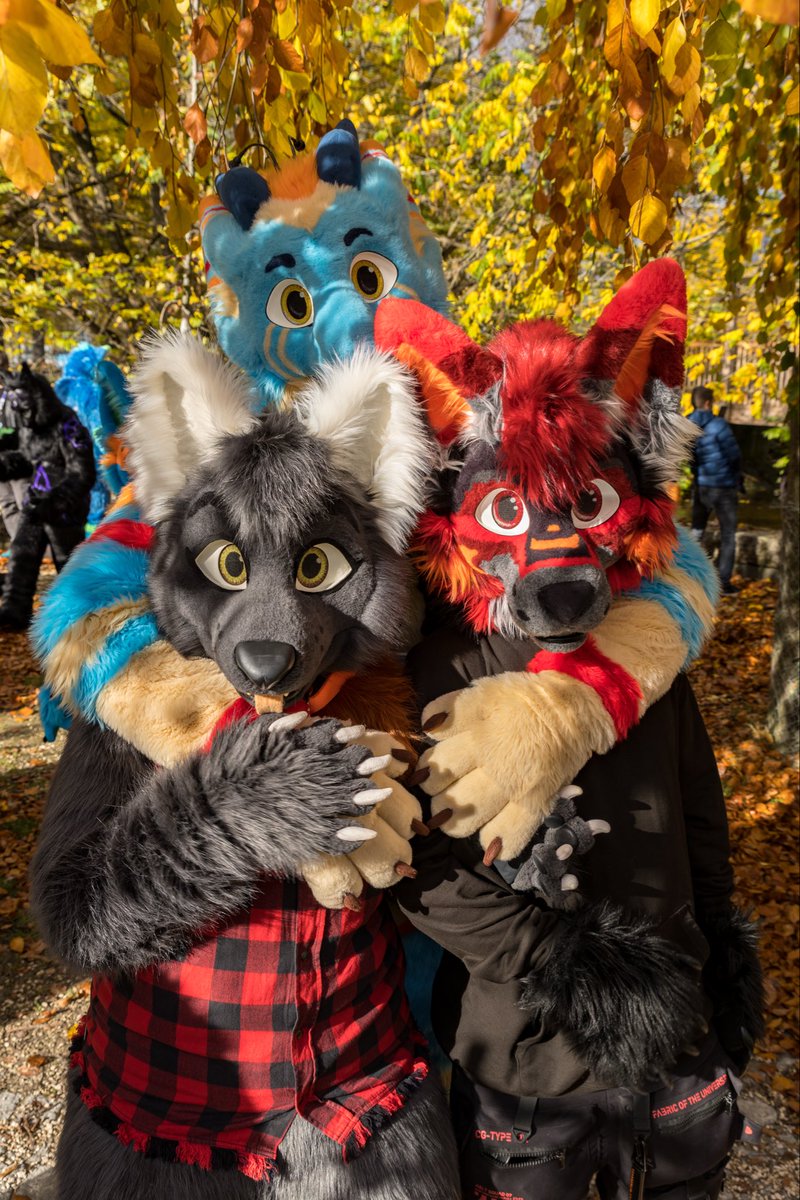 Ferroxil tweet media