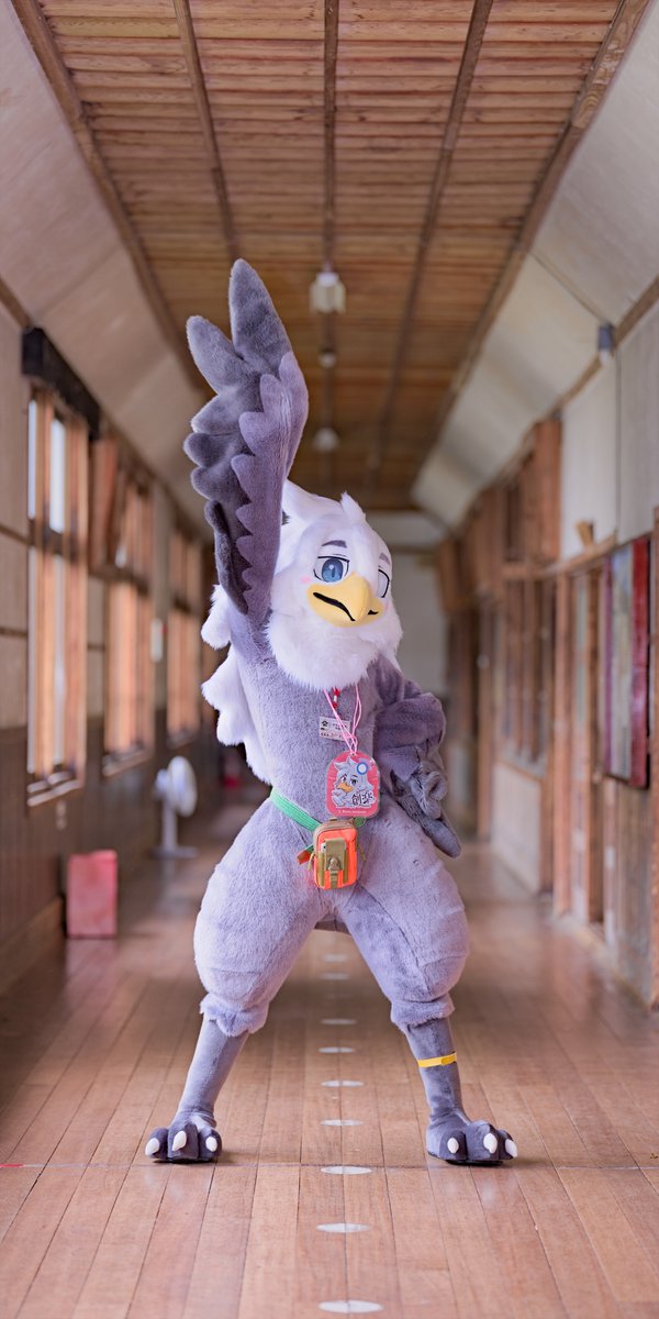 タク📸 tweet media