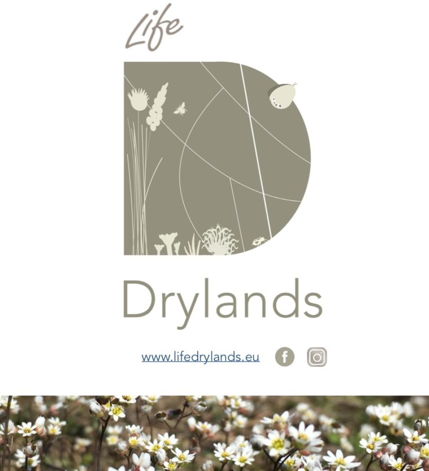 LIFEprogrammeIT's tweet image. LIFE DRYLANDS è il progetto LIFE del mese di ottobre 2025
Vai alla pagina del progetto LIFE del Mese sul sito web del @MASE_IT  dal seguente link mase.gov.it/portale/web/gu…
#LIFEprogramme #lifeproject