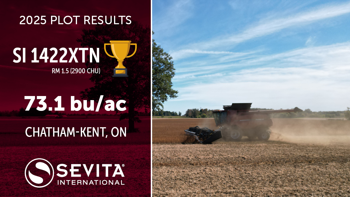 Sevita International tweet media