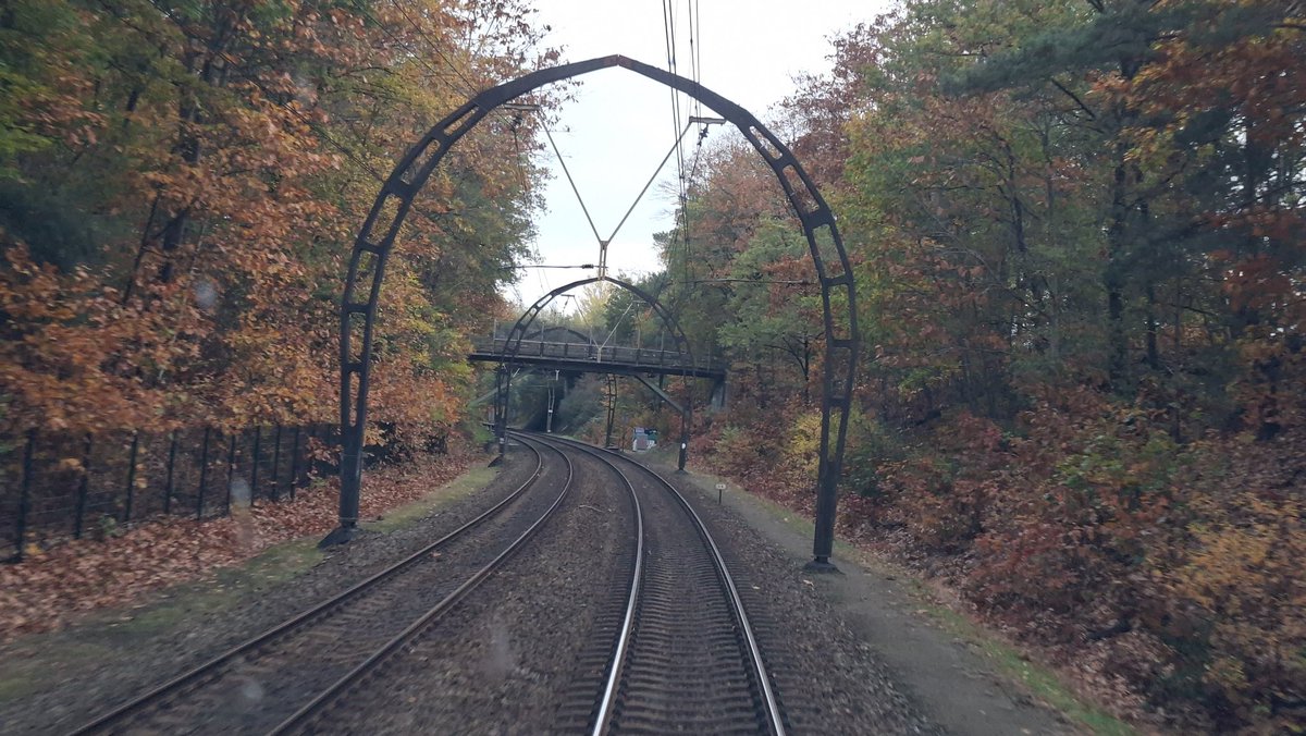 Je kunt wel zeggen dat de herfst is begonnen.